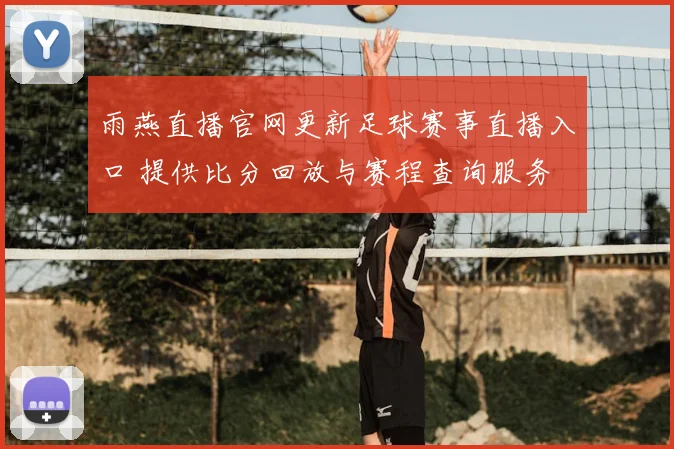 雨燕直播官网更新足球赛事直播入口 提供比分回放与赛程查询服务