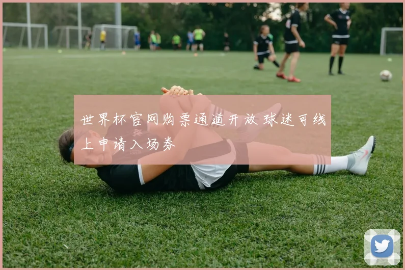 世界杯官网购票通道开放 球迷可线上申请入场券